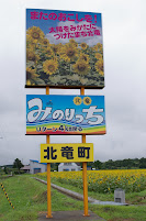 国道275号沿い・雨竜町境付近