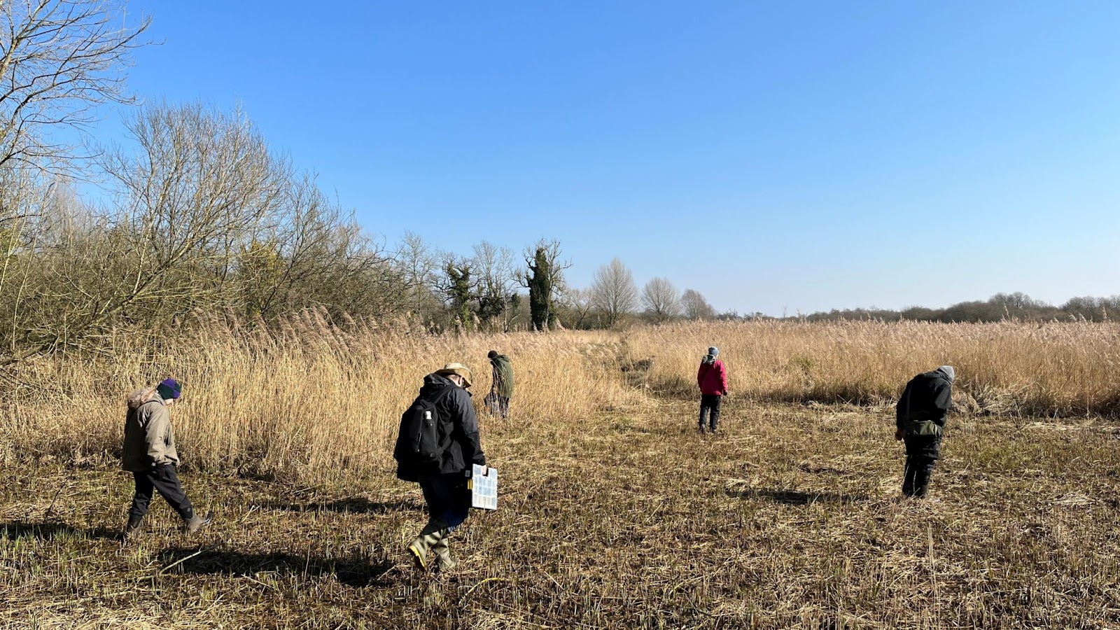 People in a field