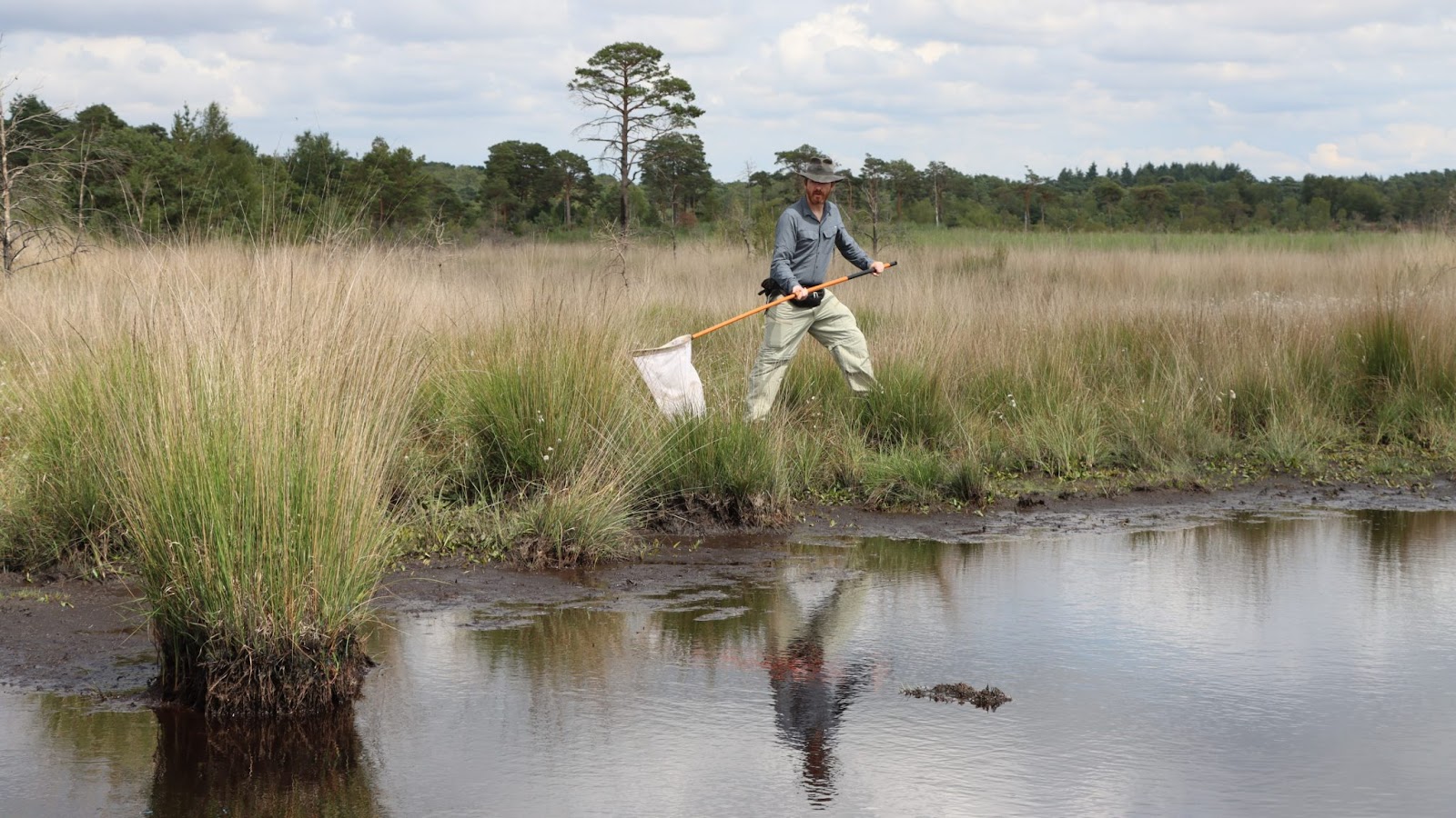 Person with a net next to a river